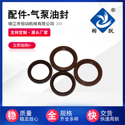 氣泵油封