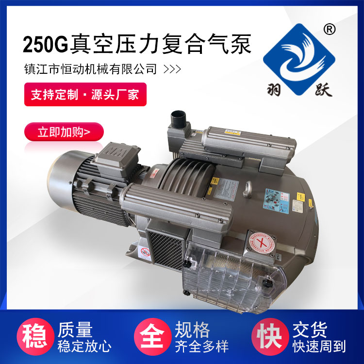 250G真空壓力復(fù)合氣泵